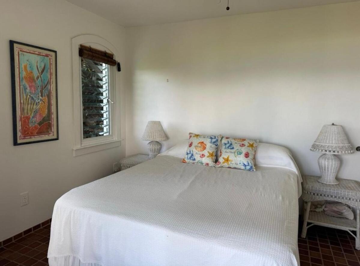 Blue Pearl Villa In St John Usvi Coral Bay Dış mekan fotoğraf